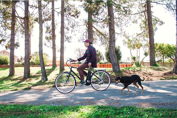 SpinTech™ electric bike riding with dog